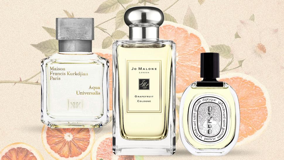 Acquatic and citrus perfumes