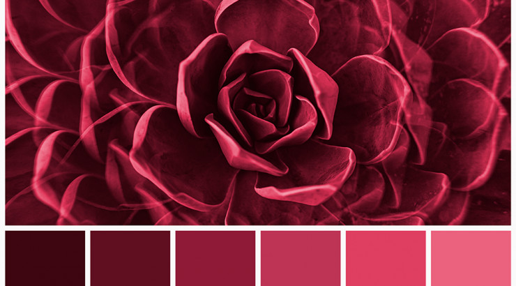 Viva Magenta: Pantone Color'23 in Style