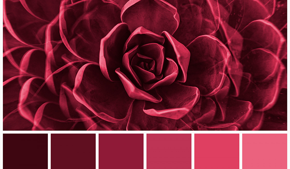 Viva Magenta: Pantone Color'23 in Style